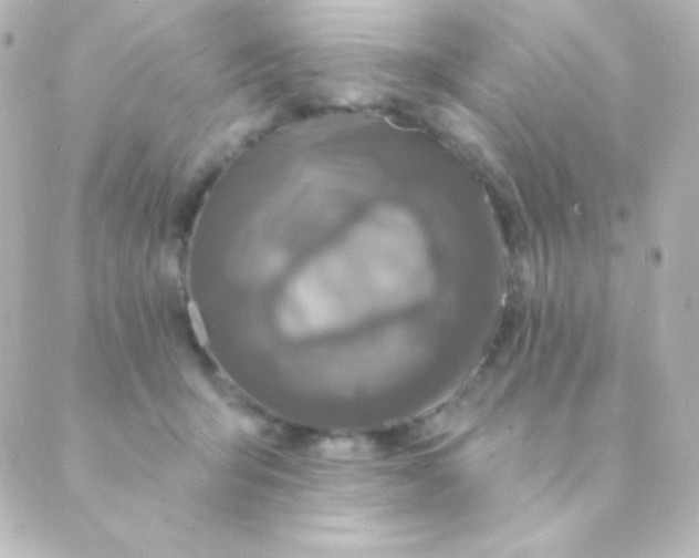 X0000088850415200706221705