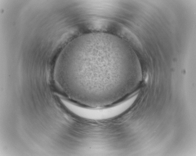 X0000088850416200706221705