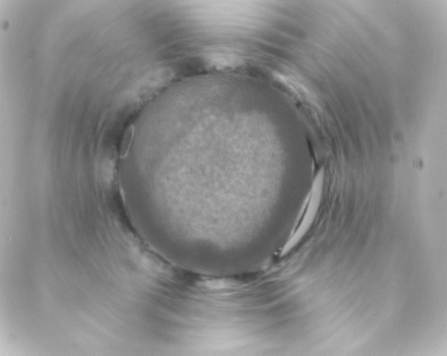 X0000088850417200706221705