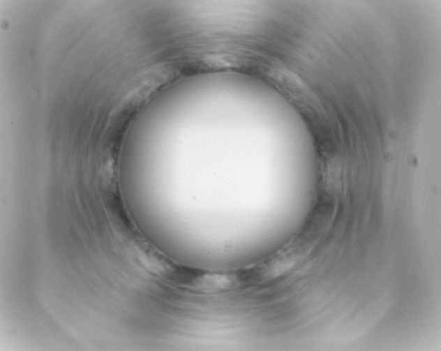 X0000088850418200706221705