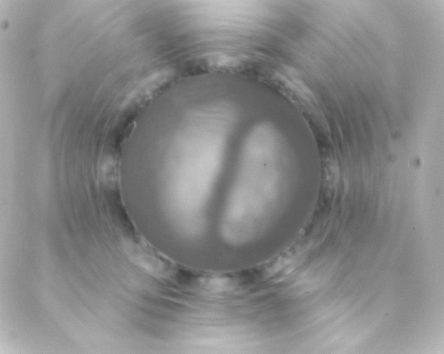 X0000088850419200706221705