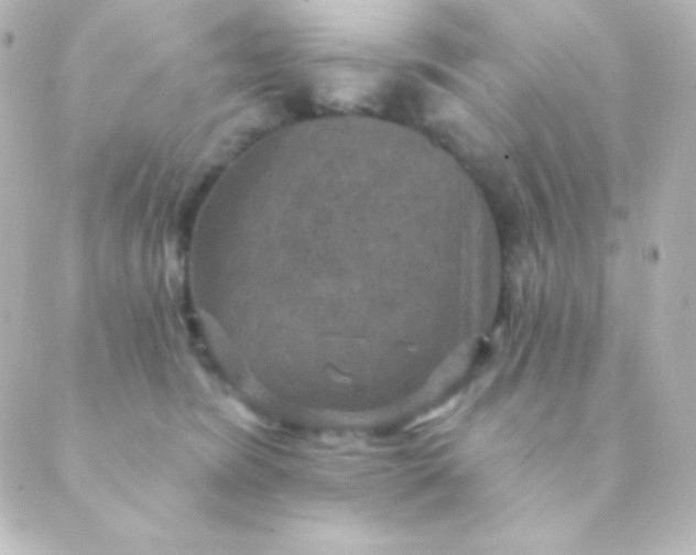 X0000088850420200706221705