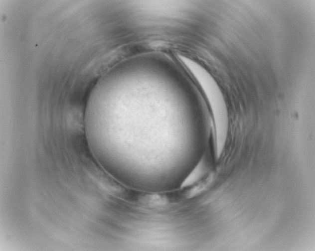 X0000088850421200706221705