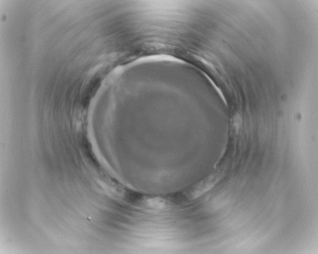 X0000088850423200706221705