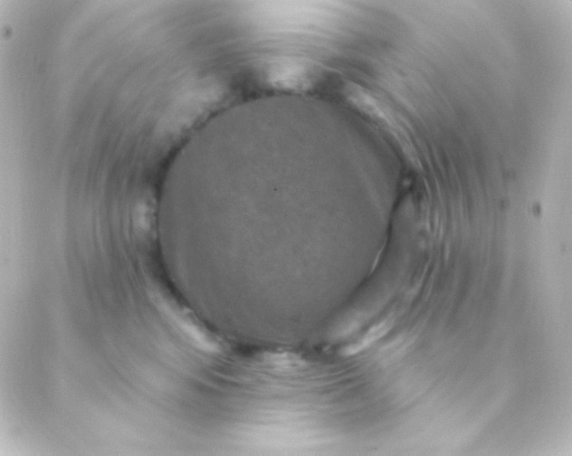 X0000088850424200706221705