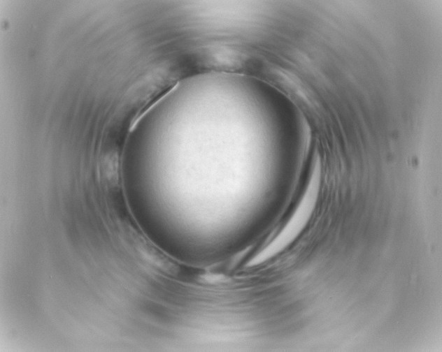 X0000088850425200706221705