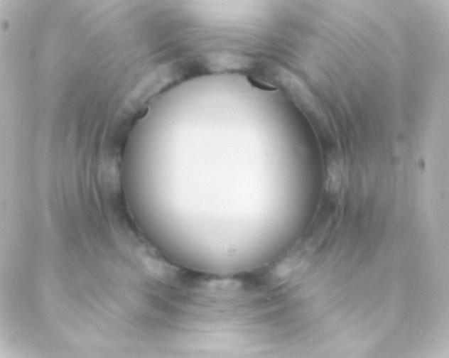 X0000088850426200706221705