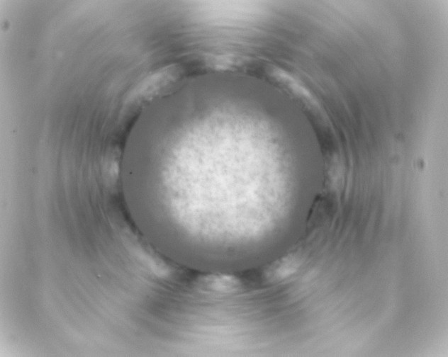 X0000088850427200706221705