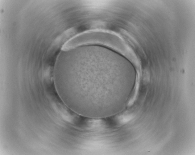 X0000088850428200706221705