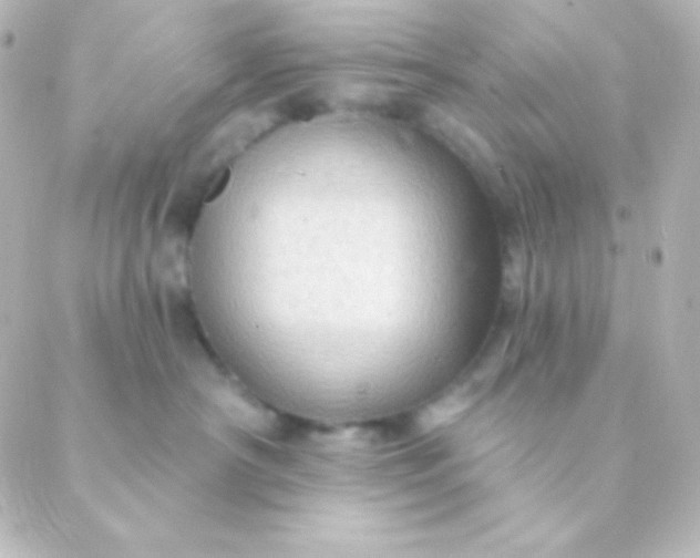 X0000088850430200706221705