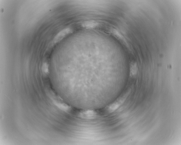 X0000088850431200706221705