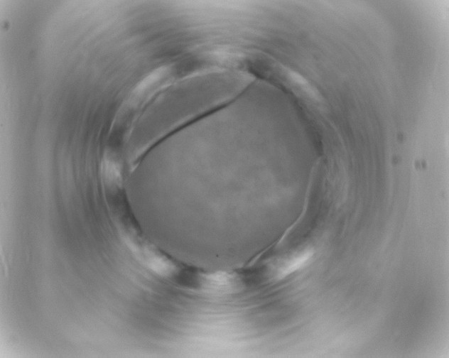 X0000088850432200706221705