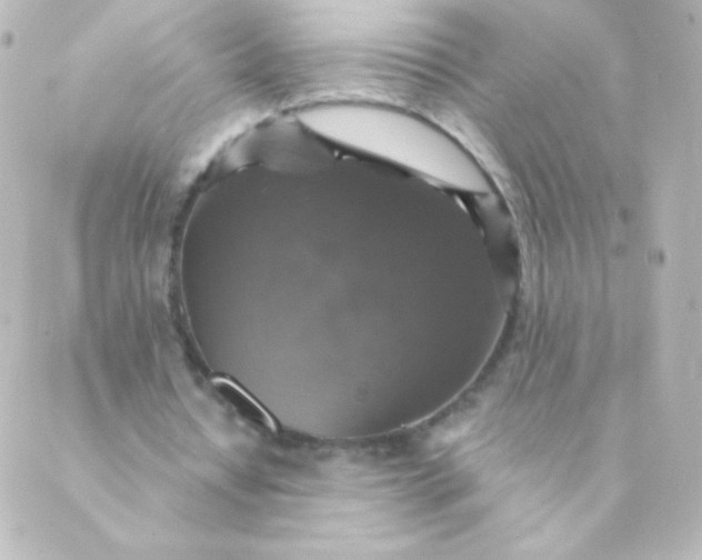 X0000088850434200706221704