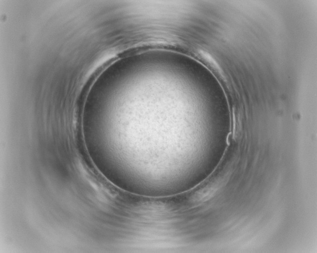 X0000088850435200706221704