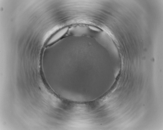 X0000088850438200706221704