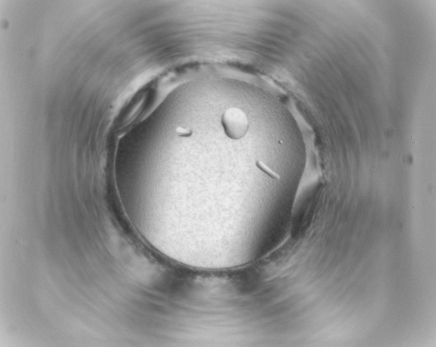 X0000088850440200706221704