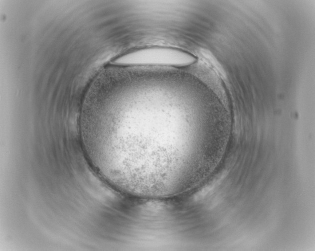 X0000088850441200706221704