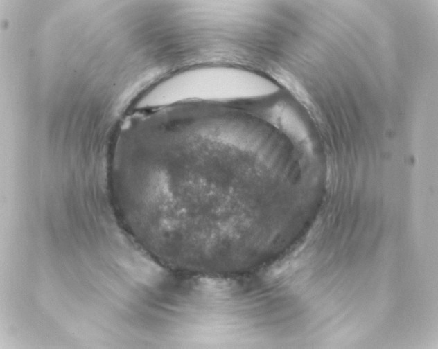 X0000088850442200706221704