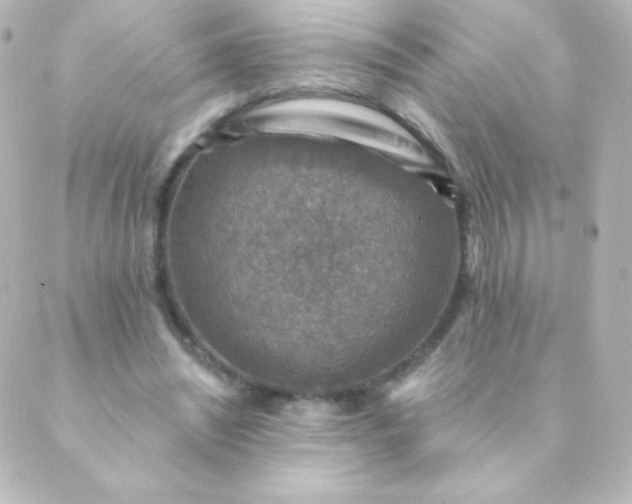 X0000088850444200706221704