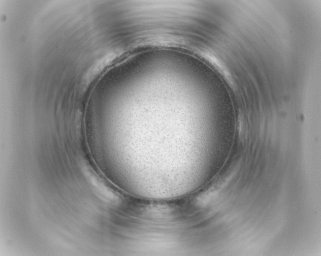 X0000088850445200706221704