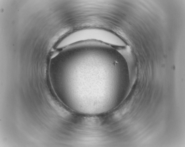 X0000088850446200706221704