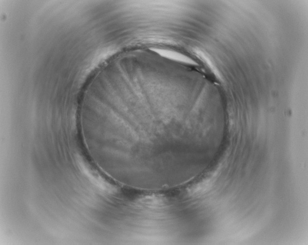 X0000088850447200706221704