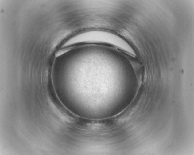 X0000088850448200706221704