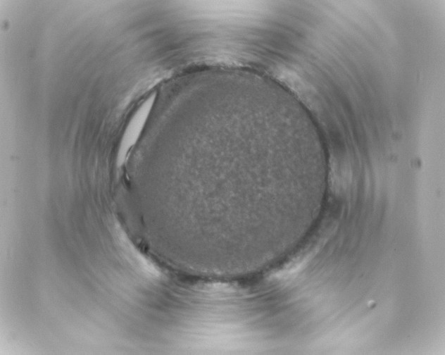 X0000088850449200706221704