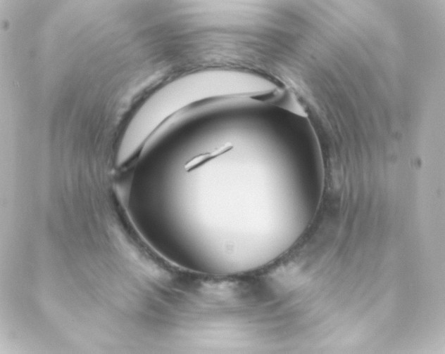 X0000088850450200706221704