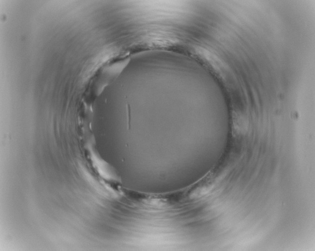 X0000088850451200706221704