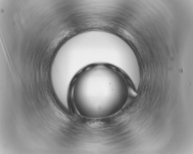 X0000088850452200706221704