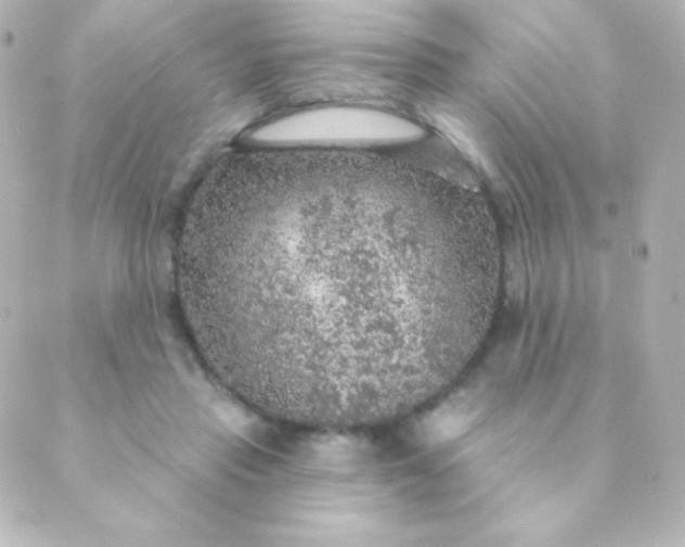 X0000088850453200706221704