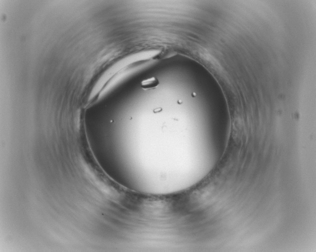 X0000088850454200706221704