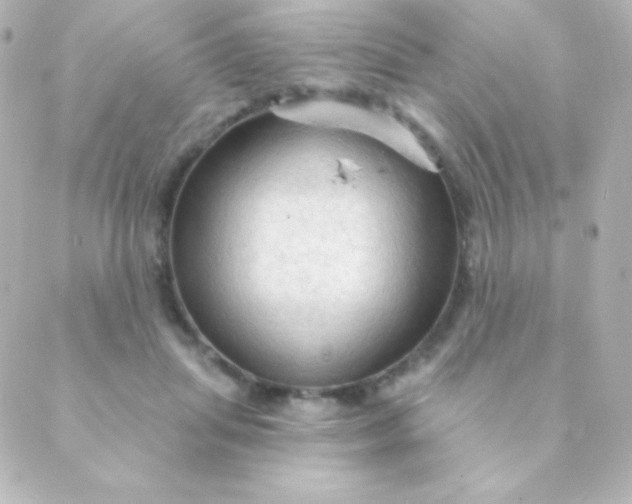 X0000088850455200706221704