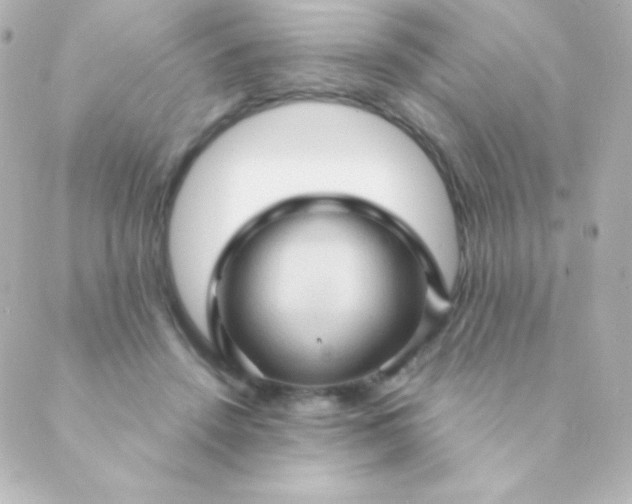 X0000088850456200706221704