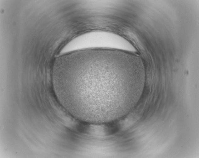 X0000088850457200706221704