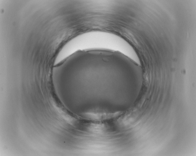 X0000088850458200706221704