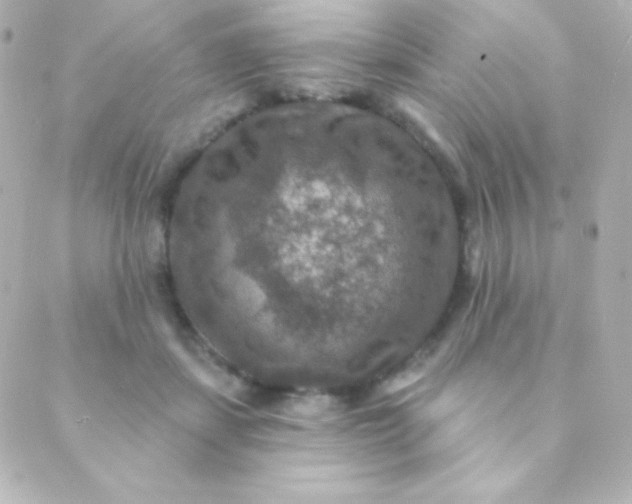 X0000088850459200706221704