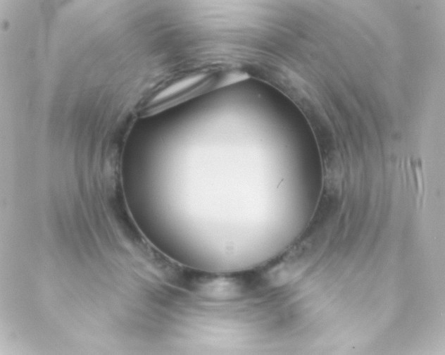 X0000088850460200706221704