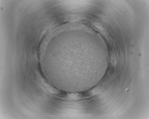 X0000088850461200706221704