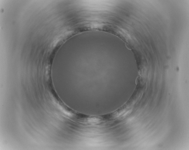 X0000088850462200706221704