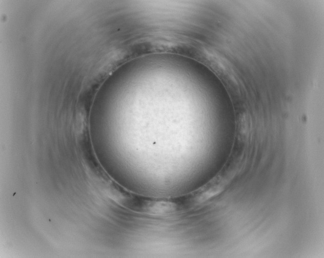 X0000088850463200706221704