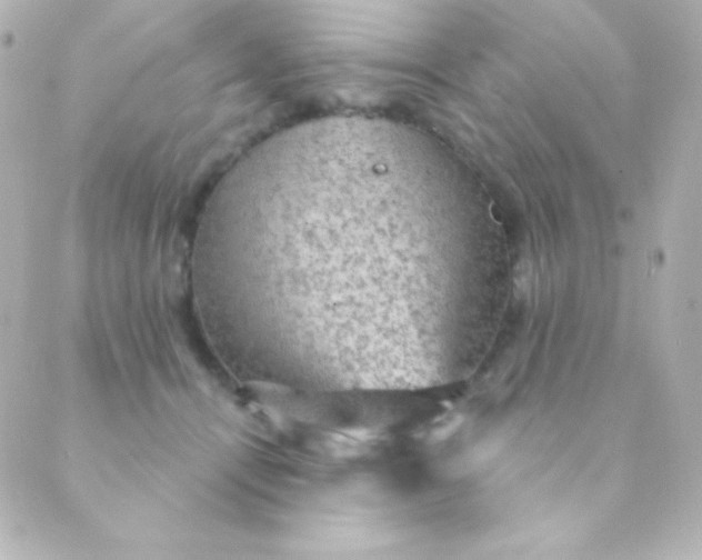 X0000088850464200706221704