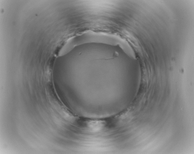 X0000088850465200706221704