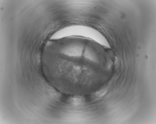 X0000088850466200706221704