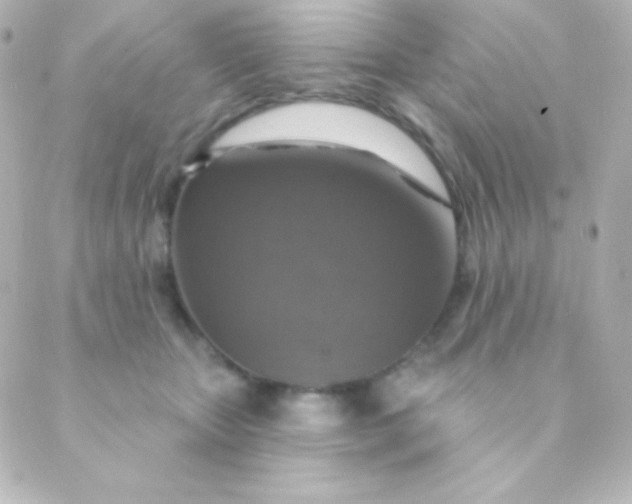 X0000088850467200706221704