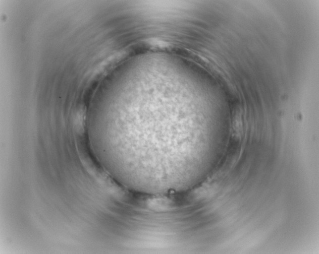 X0000088850468200706221704