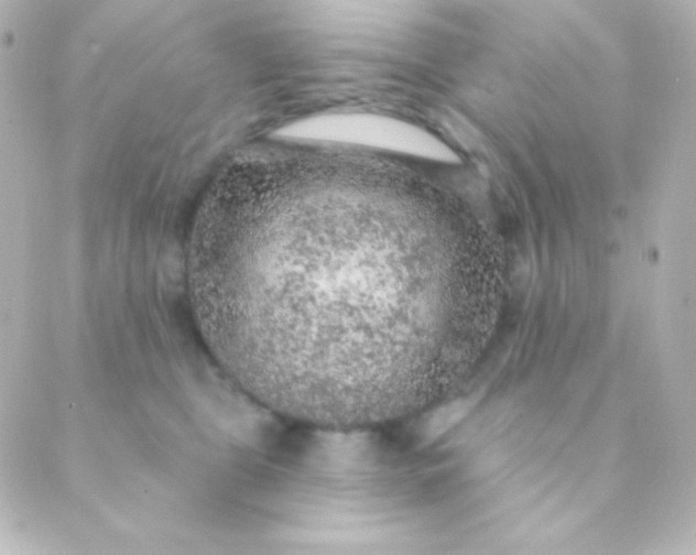 X0000088850469200706221704