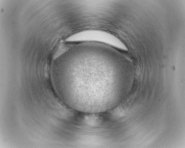 X0000088850470200706221704