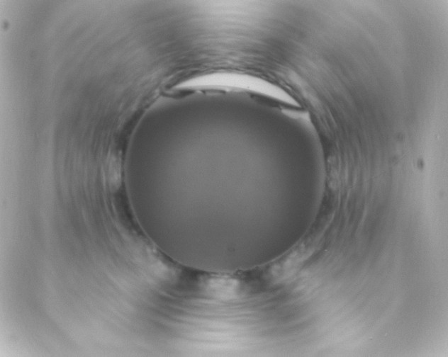 X0000088850471200706221704